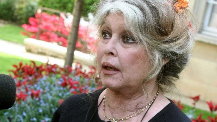 Brigitte Bardot faces €25,000 fine for racist insults 'It's a bunch of degenerates who miss cannibalism'