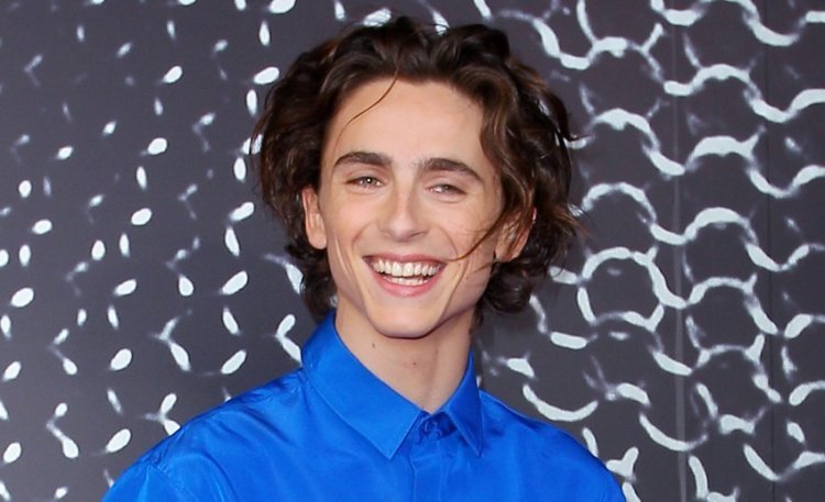 This is why the whole world is talking about the young Timothée Chalamet of atypical beauty