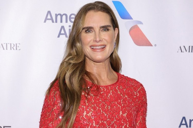 Brooke Shields attended first party 10 months after breaking femur