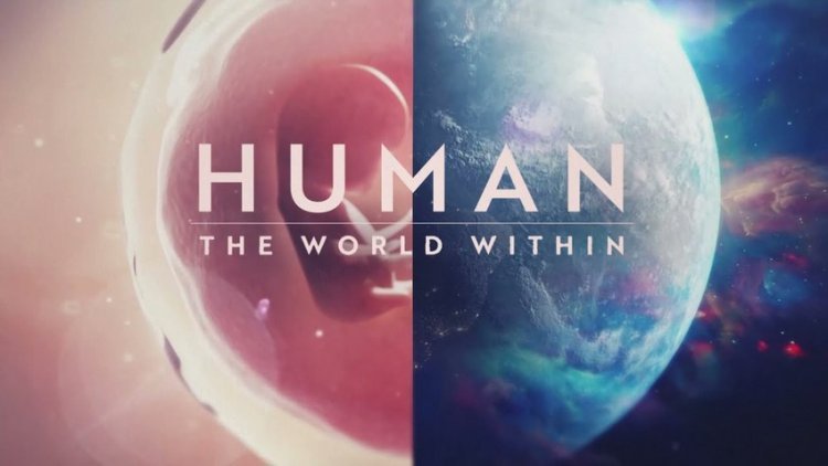 “Human: The World Within” is one of the best series we’ve watched on Netflix. Here's what it's about