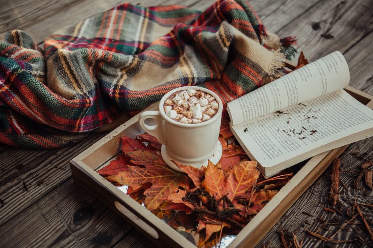 Family fun: 3 best ways to spend your autumn