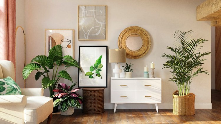 The Healthiest Plants For Your House