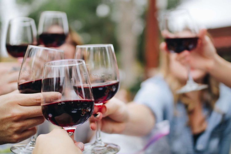 A Beginner's Guide To Wine Knowledge