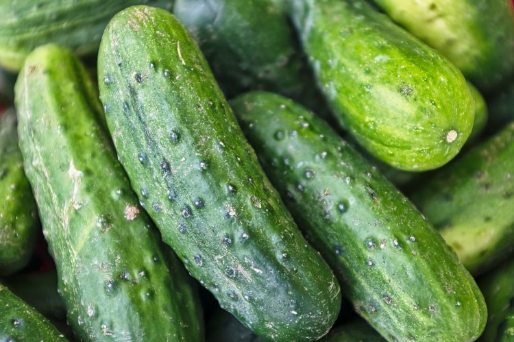 Cucumbers: Nutrition Facts &amp; Health Benefits