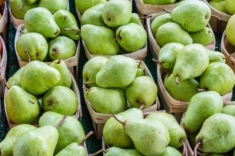 Pears - Health Benefits And Nutrition