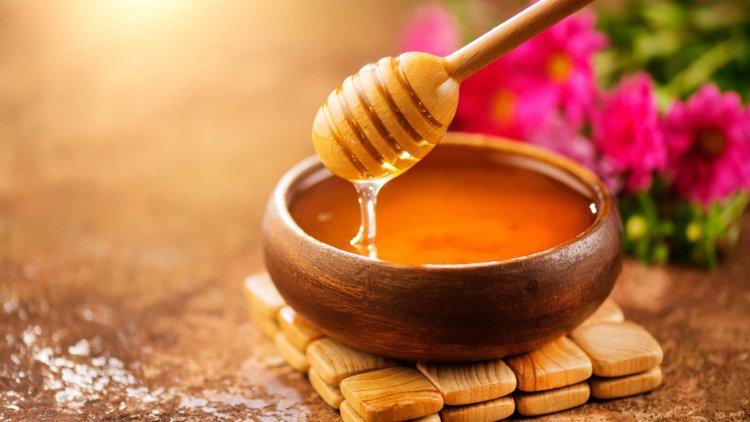 Try An Amazing Hibernation Diet With Honey