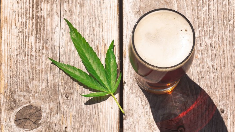 What is worse for brain - alcohol or marijuana?