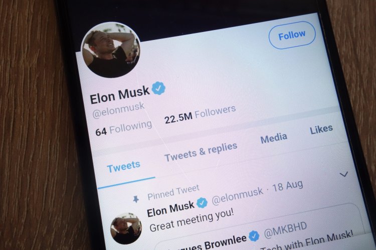 How will Elon Musk fit in on Twitter