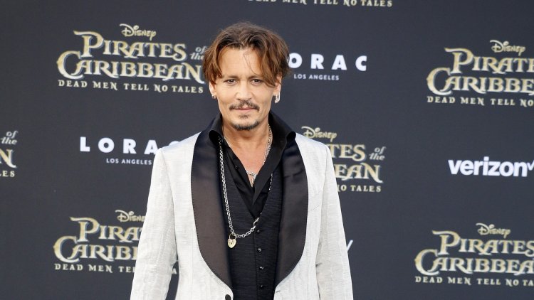What do we know about Depp's lawyer-Camilla?