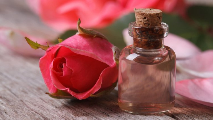 5 reasons why rosewater is good for hair