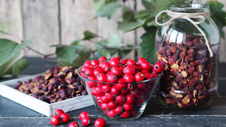 Impressive health benefits of hawthorn berry