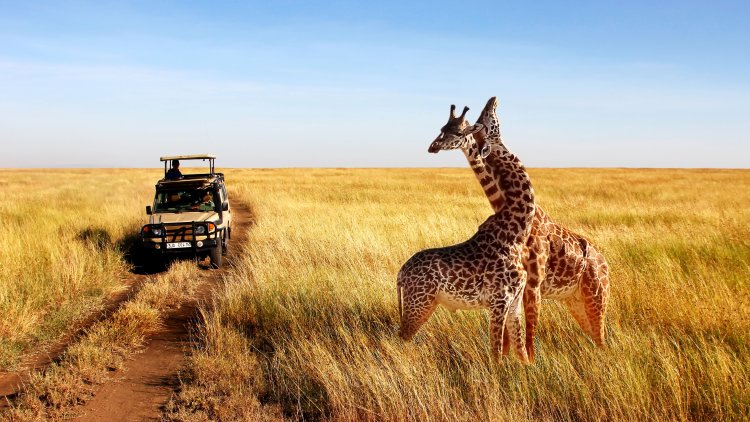 Beautiful destinations to visit in Tanzania