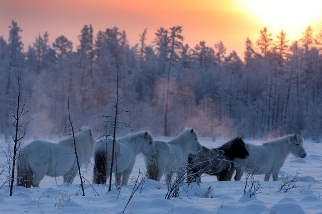 Yakutsk-the coldest city in the world!