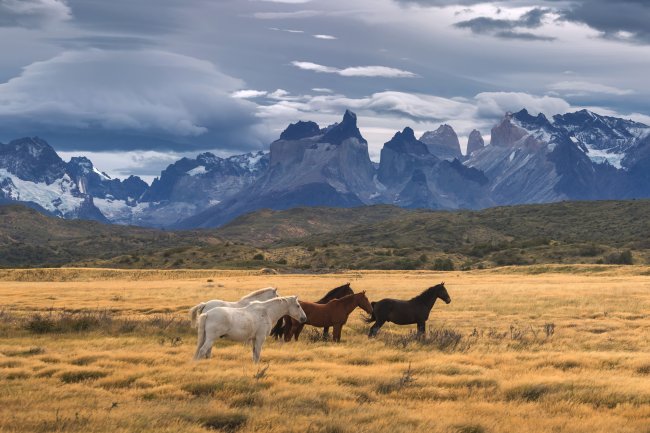 Why Torres Del Paine National Park should be a bucket list