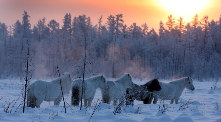 Yakutsk-the coldest city in the world!