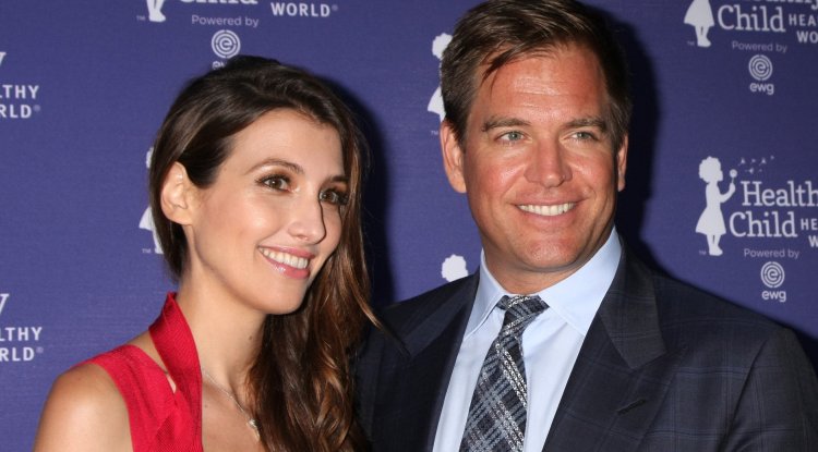 Michael Weatherly's interesting love story