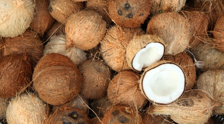 Coconut is the fruit of the future