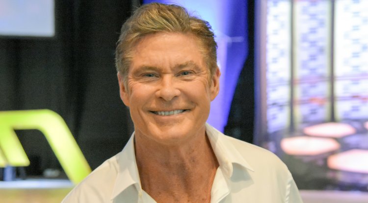 Ups and downs of David Hasselhoff