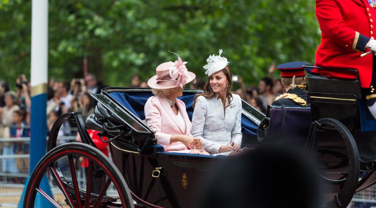 Camilla discovered that William is cheating on Kate