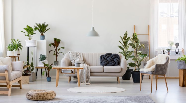 The best colors for the rooms of our home