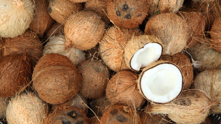 Coconut is the fruit of the future