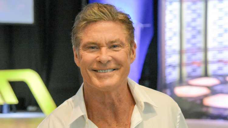Ups and downs of David Hasselhoff
