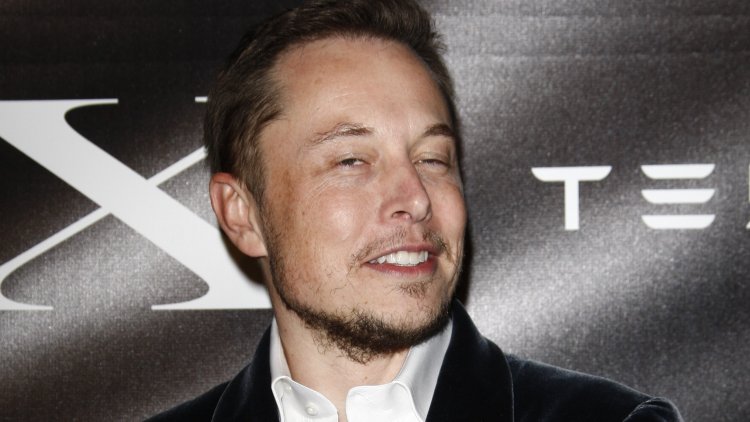Elon Musk reportedly had twins last year