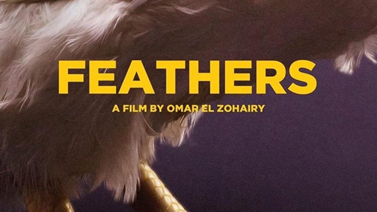 The "Feathers" - unusual and crazy movie