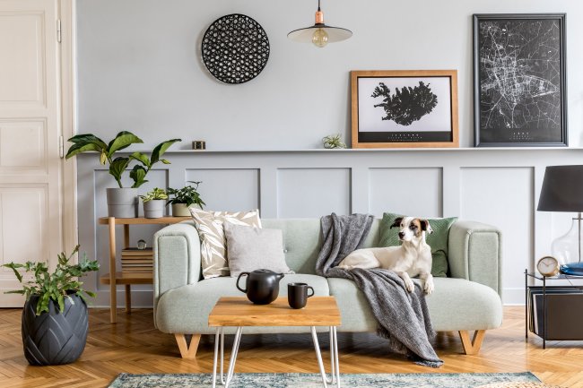 Create your living room from dreams!