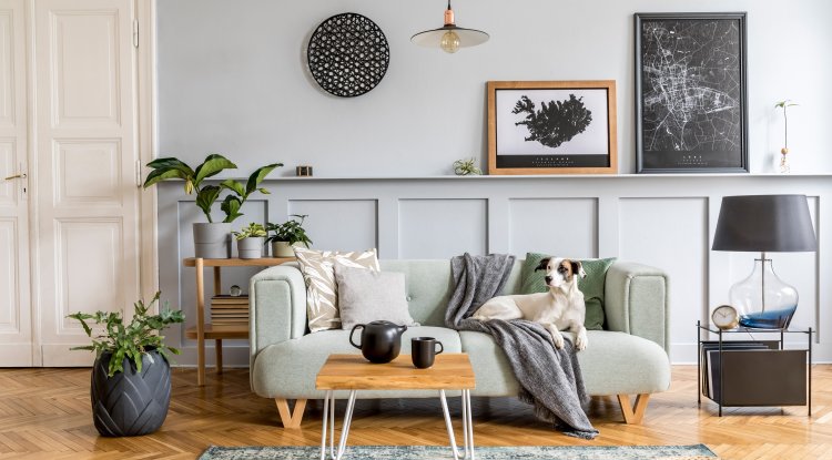 Create your living room from dreams!