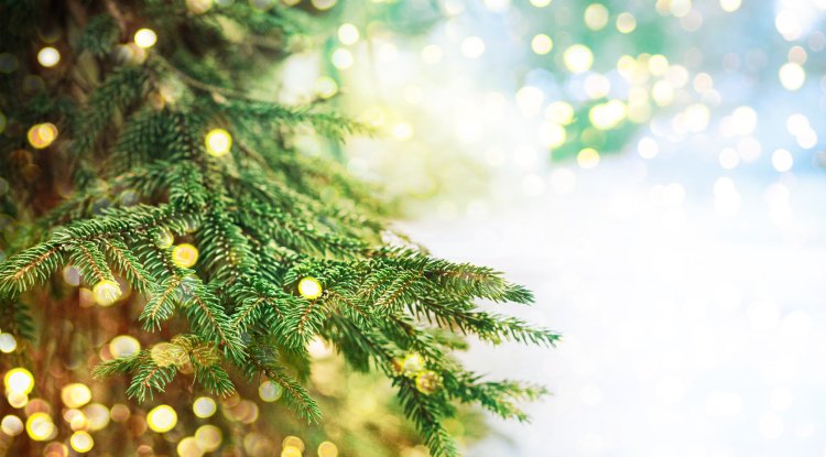 The result: a hologram Christmas tree