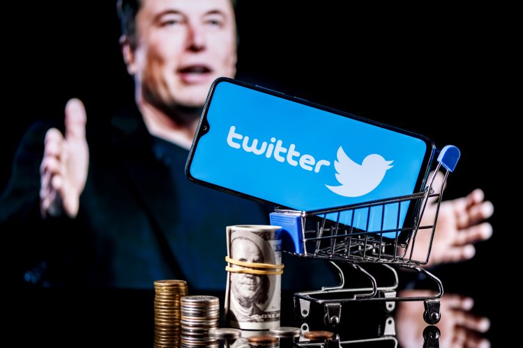 Twitter users voted for Elon Musk to leave