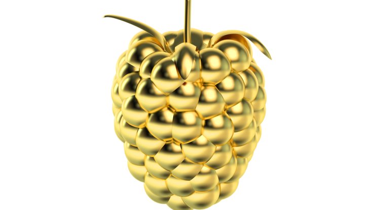 Nominations for the Golden Raspberry have never been more brutal