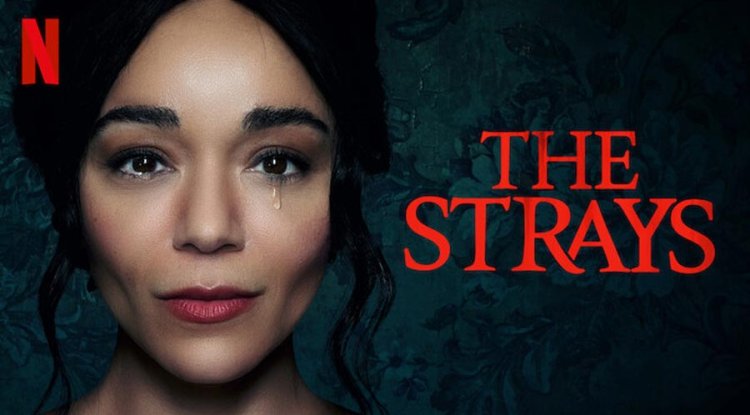 The Strays (2023): A Gripping Tale of Survival and Redemption