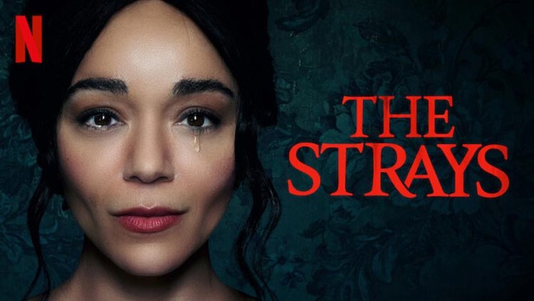 The Strays (2023): A Gripping Tale of Survival and Redemption