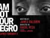 I Am Not Your Negro (2017)