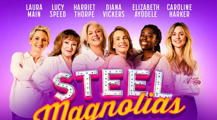 Steel Magnolias: A Heartwarming Tale of Friendship, Love, and Loss