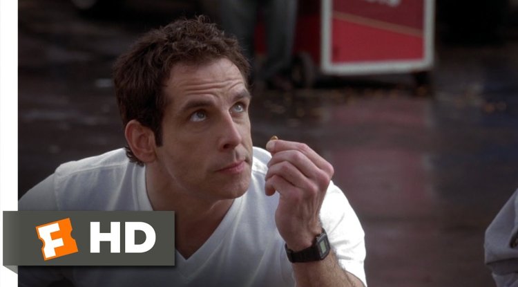 Along Came Polly, 2004