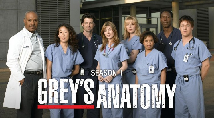 'Grey's Anatomy' (2005 - )