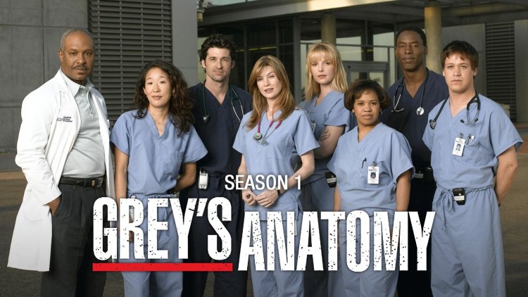 'Grey's Anatomy' (2005 - )