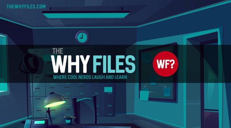 The Why Files